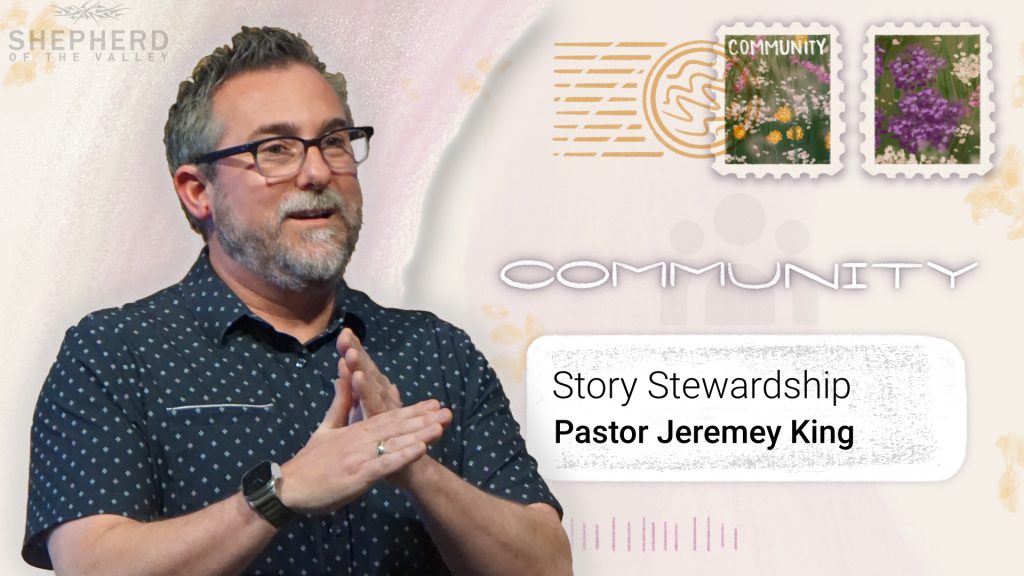 Story Stewardship